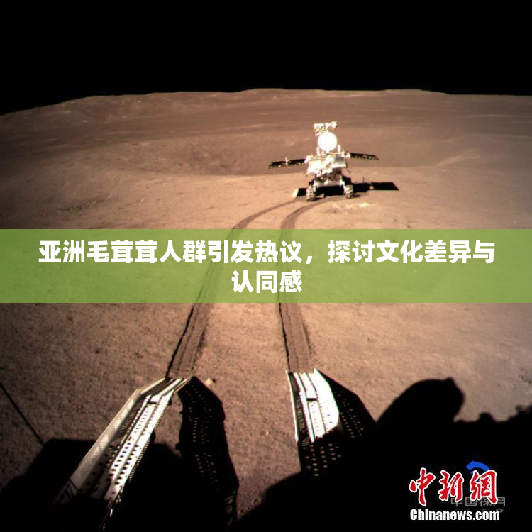 亚洲毛茸茸人群引发热议，探讨文化差异与认同感
