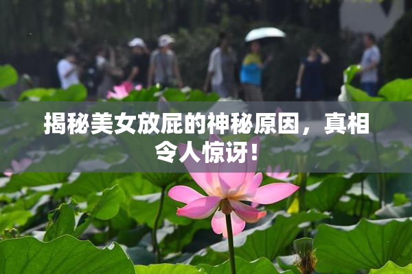 揭秘美女放屁的神秘原因，真相令人惊讶！
