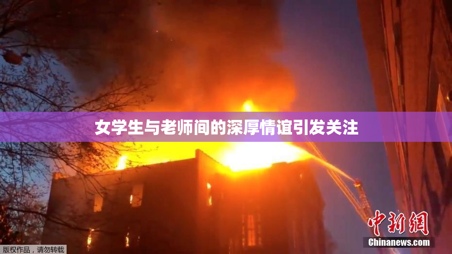 女学生与老师间的深厚情谊引发关注