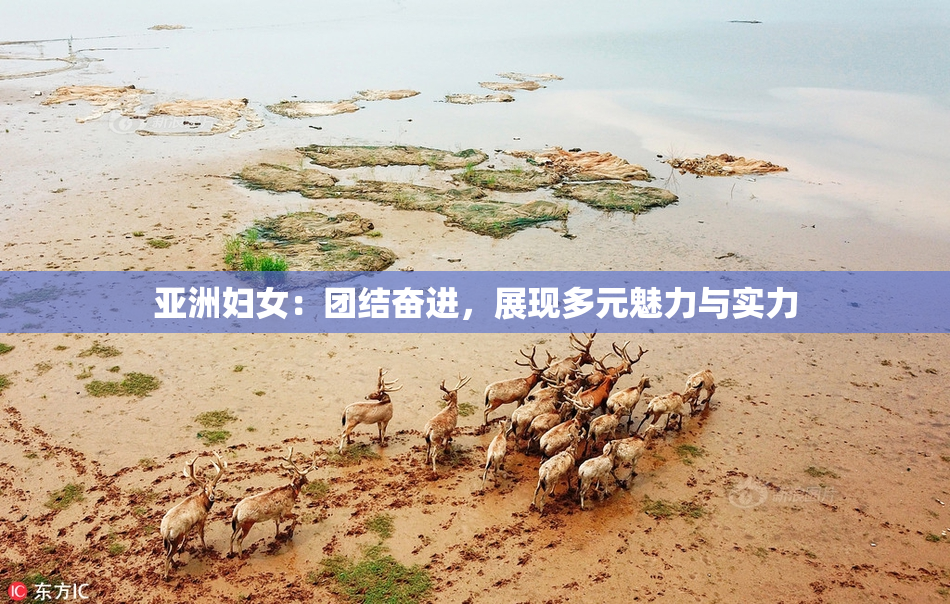亚洲妇女：团结奋进，展现多元魅力与实力