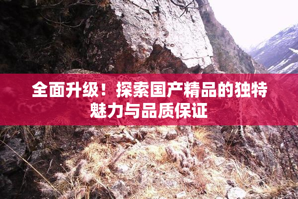 全面升级！探索国产精品的独特魅力与品质保证