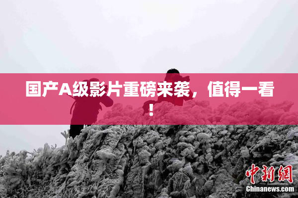 国产A级影片重磅来袭，值得一看！