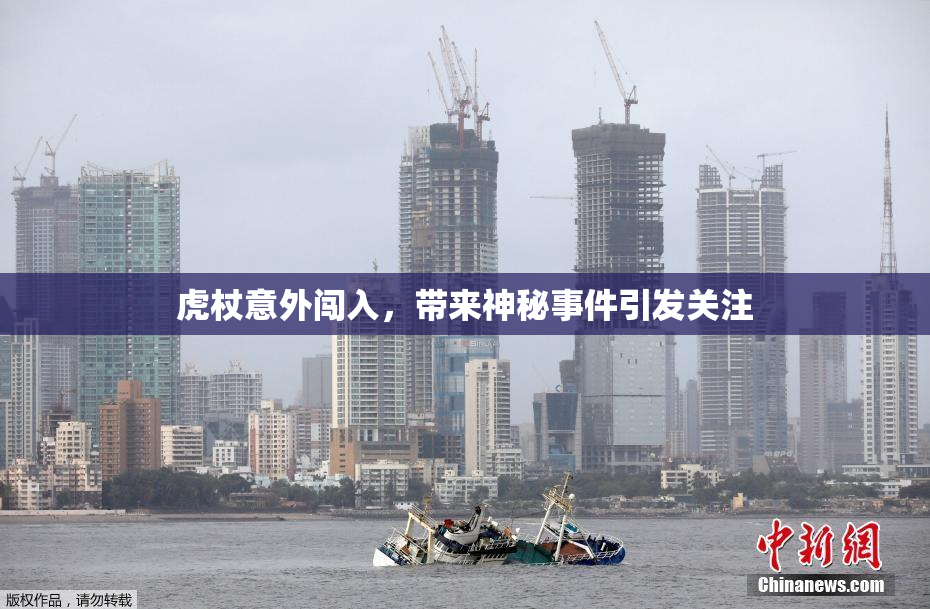 虎杖意外闯入，带来神秘事件引发关注