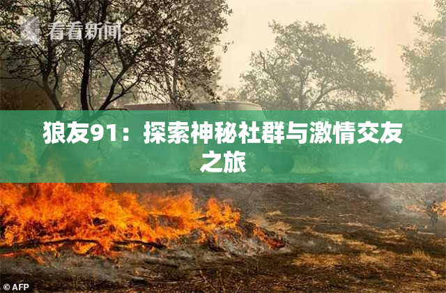 狼友91：探索神秘社群与激情交友之旅