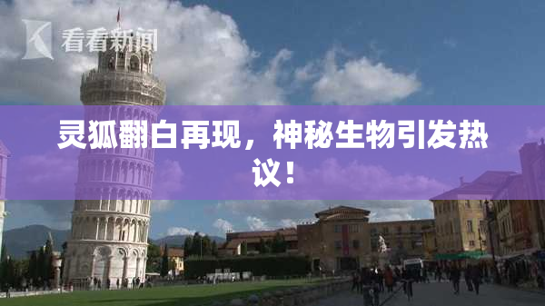 灵狐翻白再现，神秘生物引发热议！