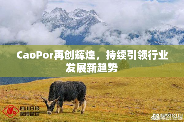 CaoPor再创辉煌，持续引领行业发展新趋势