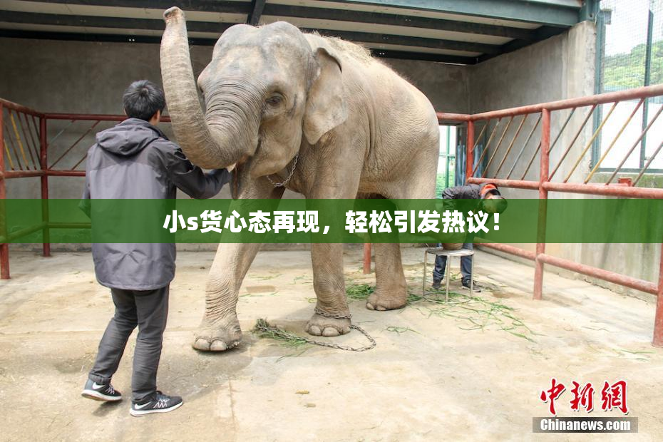 小s货心态再现，轻松引发热议！