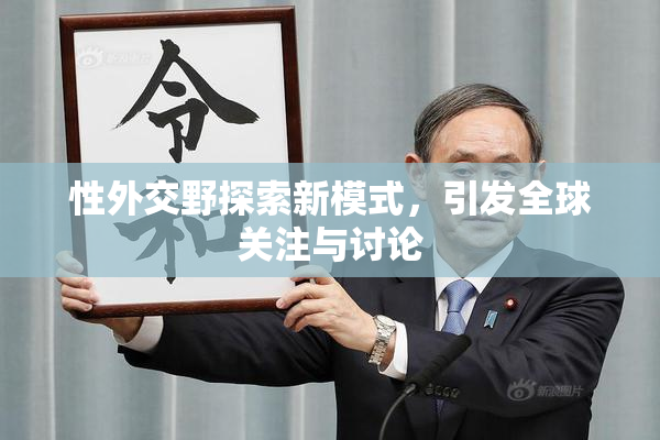 性外交野探索新模式，引发全球关注与讨论