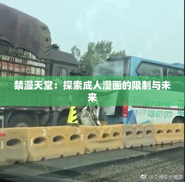 禁漫天堂：探索成人漫画的限制与未来