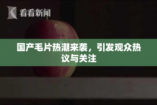 国产毛片热潮来袭，引发观众热议与关注
