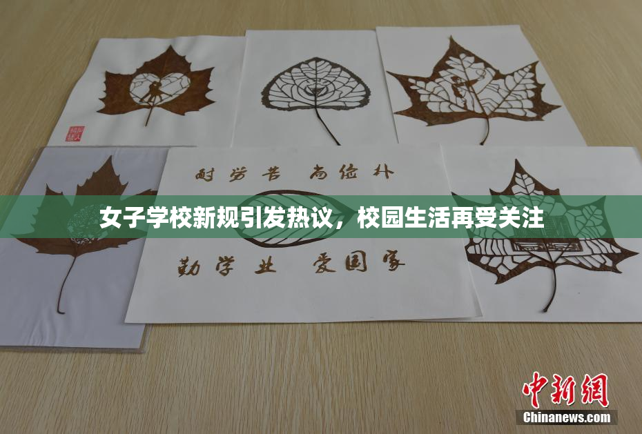 女子学校新规引发热议，校园生活再受关注