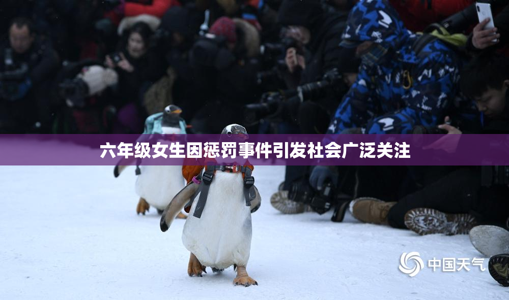 六年级女生因惩罚事件引发社会广泛关注