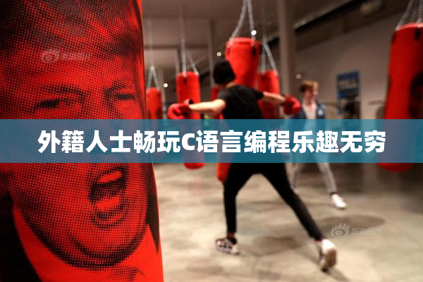 外籍人士畅玩C语言编程乐趣无穷