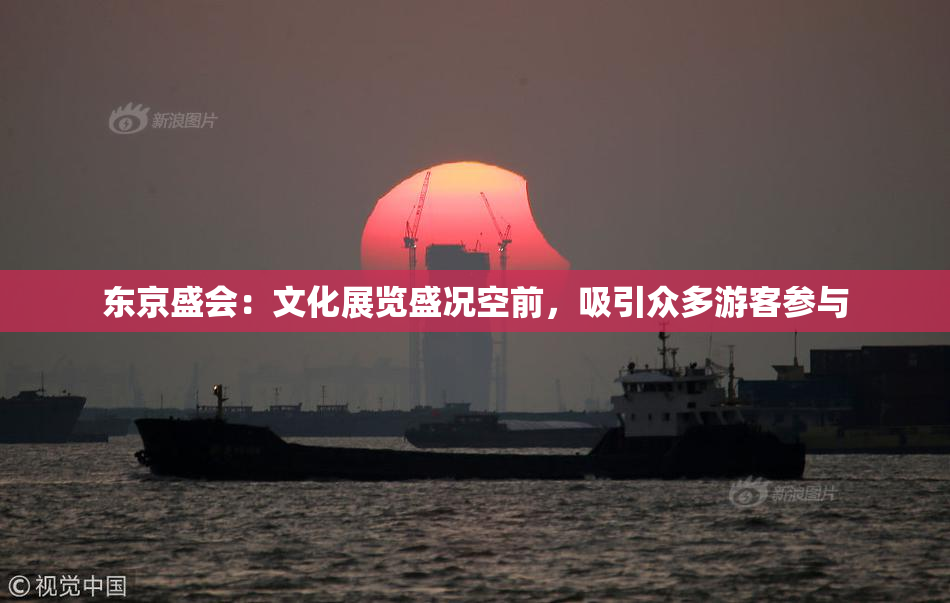 东京盛会：文化展览盛况空前，吸引众多游客参与