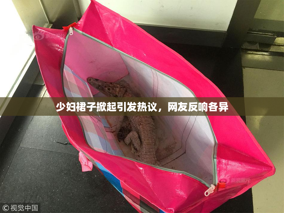 少妇裙子掀起引发热议，网友反响各异