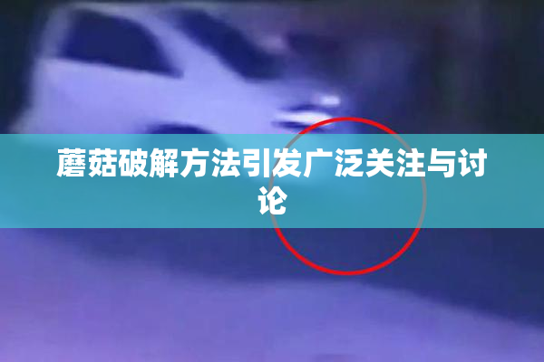 蘑菇破解方法引发广泛关注与讨论