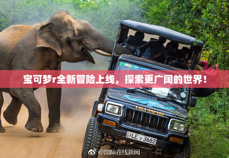 宝可梦r全新冒险上线，探索更广阔的世界！