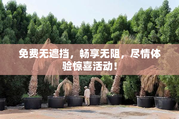 免费无遮挡，畅享无阻，尽情体验惊喜活动！