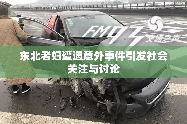 东北老妇遭遇意外事件引发社会关注与讨论