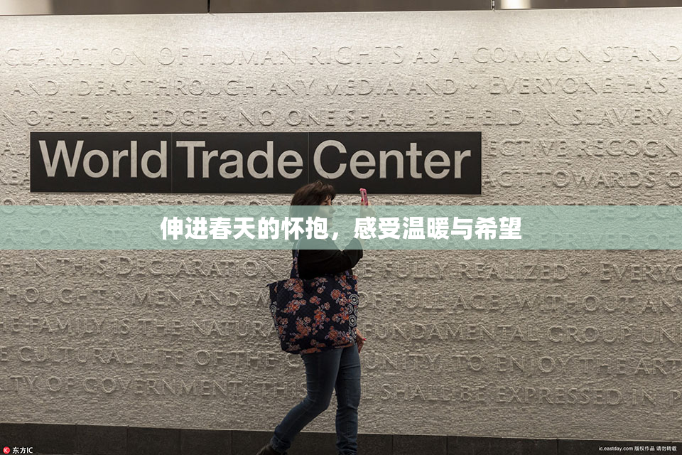 伸进春天的怀抱，感受温暖与希望