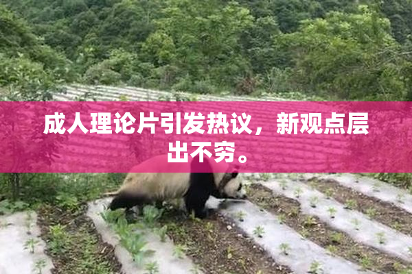 成人理论片引发热议，新观点层出不穷。