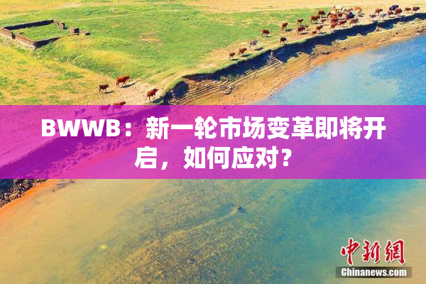 BWWB：新一轮市场变革即将开启，如何应对？