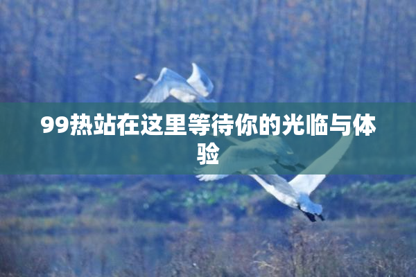 99热站在这里等待你的光临与体验