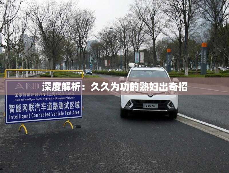 深度解析：久久为功的熟妇出奇招