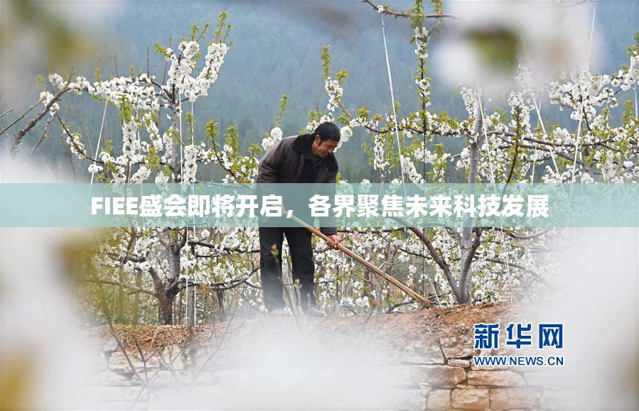 FIEE盛会即将开启，各界聚焦未来科技发展