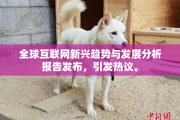 全球互联网新兴趋势与发展分析报告发布，引发热议。
