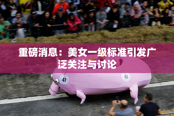 重磅消息：美女一级标准引发广泛关注与讨论