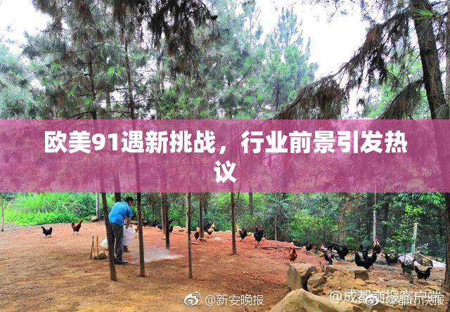 欧美91遇新挑战，行业前景引发热议