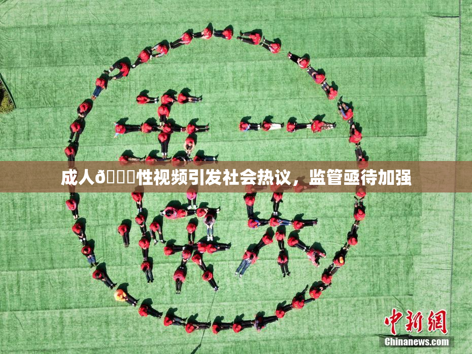 成人🔞性视频引发社会热议，监管亟待加强