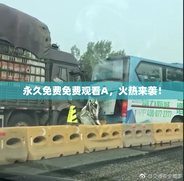 永久免费免费观看A，火热来袭！