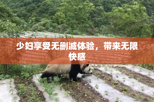 少妇享受无删减体验，带来无限快感