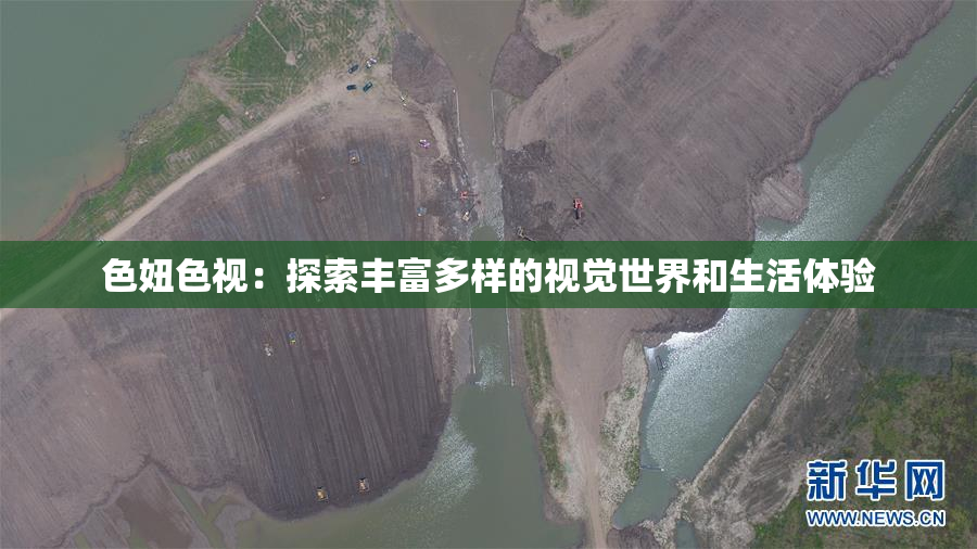 色妞色视：探索丰富多样的视觉世界和生活体验