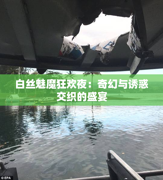 白丝魅魔狂欢夜：奇幻与诱惑交织的盛宴