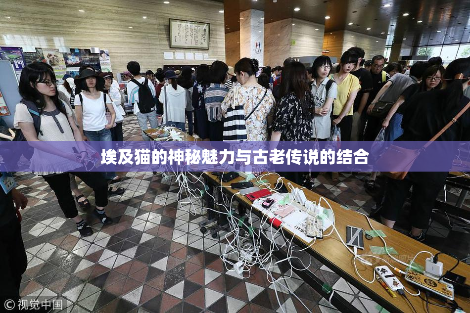 埃及猫的神秘魅力与古老传说的结合