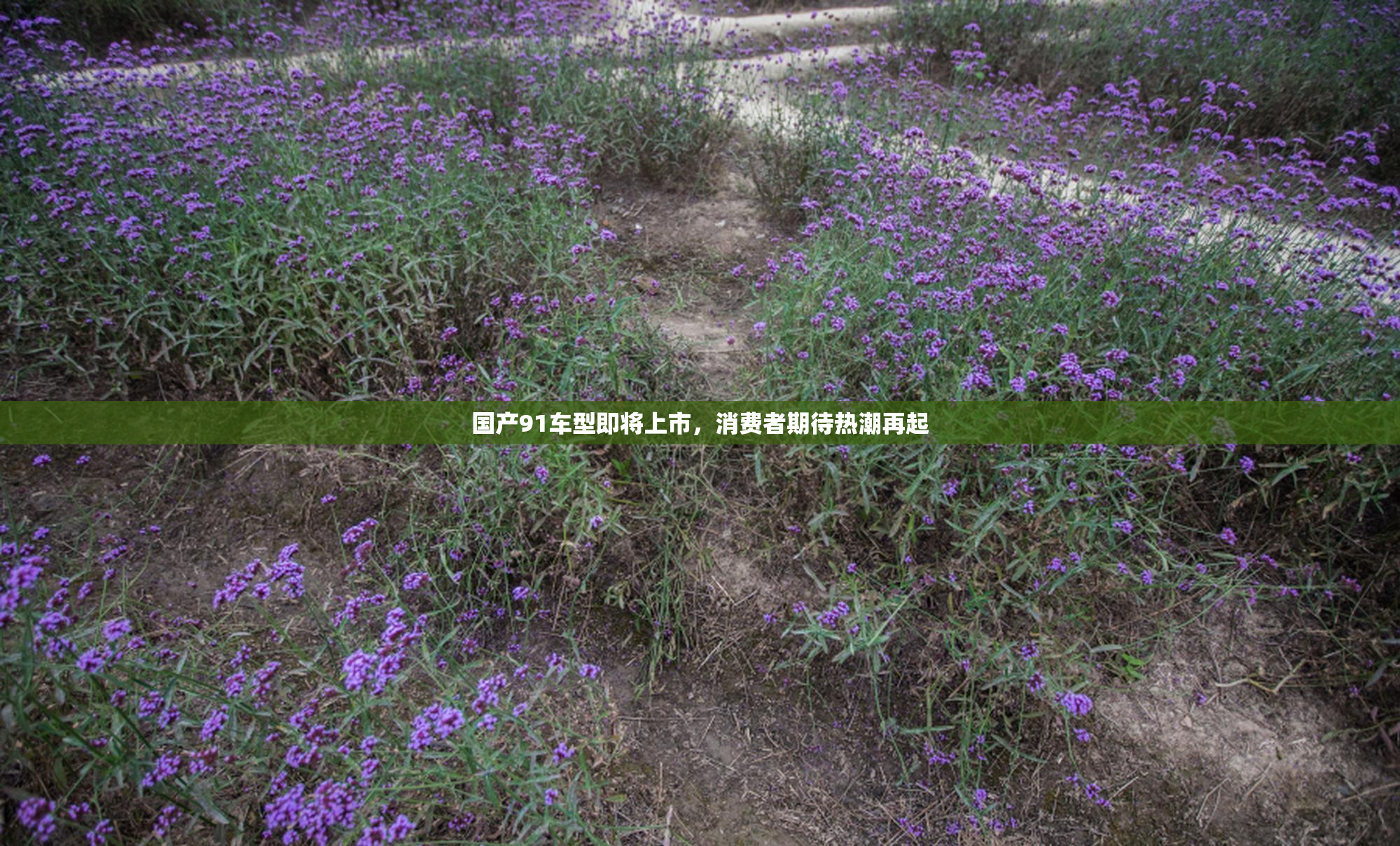 国产91车型即将上市，消费者期待热潮再起