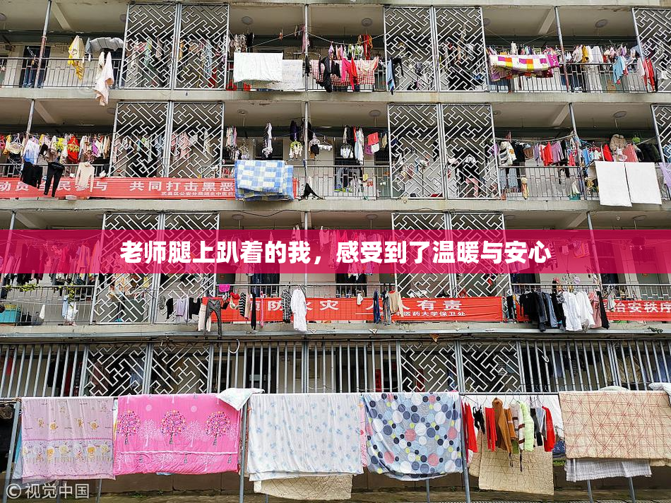 老师腿上趴着的我，感受到了温暖与安心