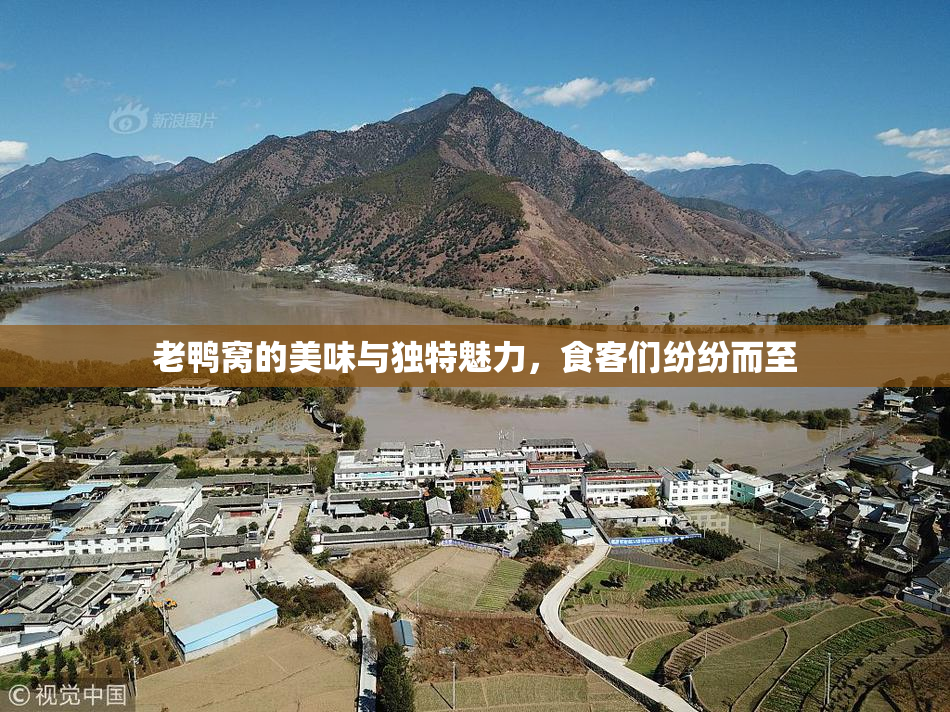 老鸭窝的美味与独特魅力，食客们纷纷而至