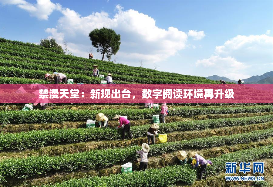 禁漫天堂：新规出台，数字阅读环境再升级