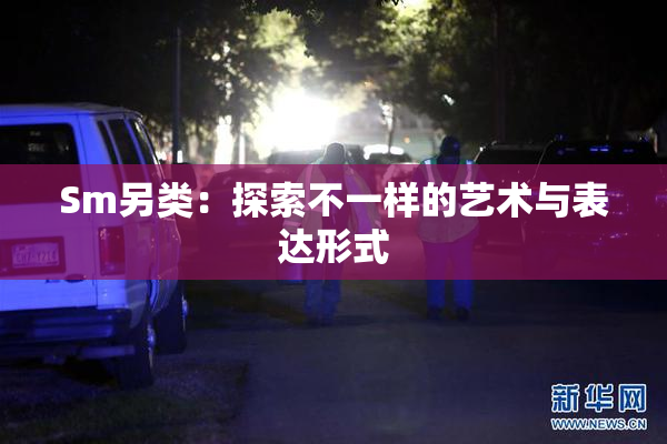 Sm另类：探索不一样的艺术与表达形式