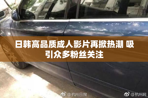 日韩高品质成人影片再掀热潮 吸引众多粉丝关注