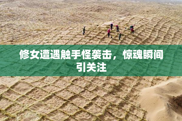 修女遭遇触手怪袭击，惊魂瞬间引关注