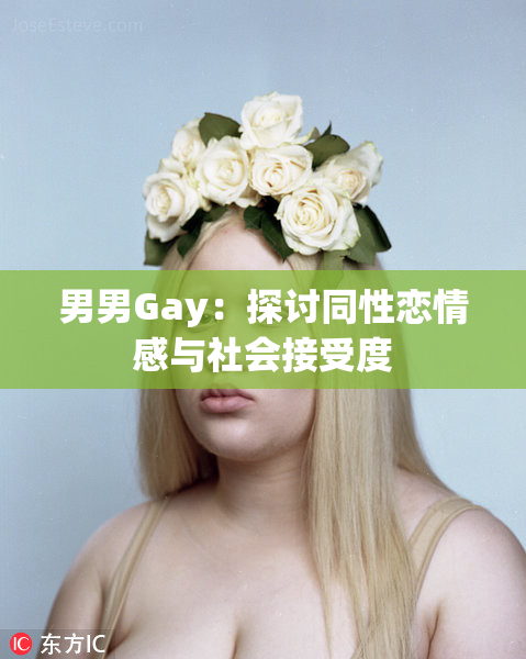 男男Gay：探讨同性恋情感与社会接受度