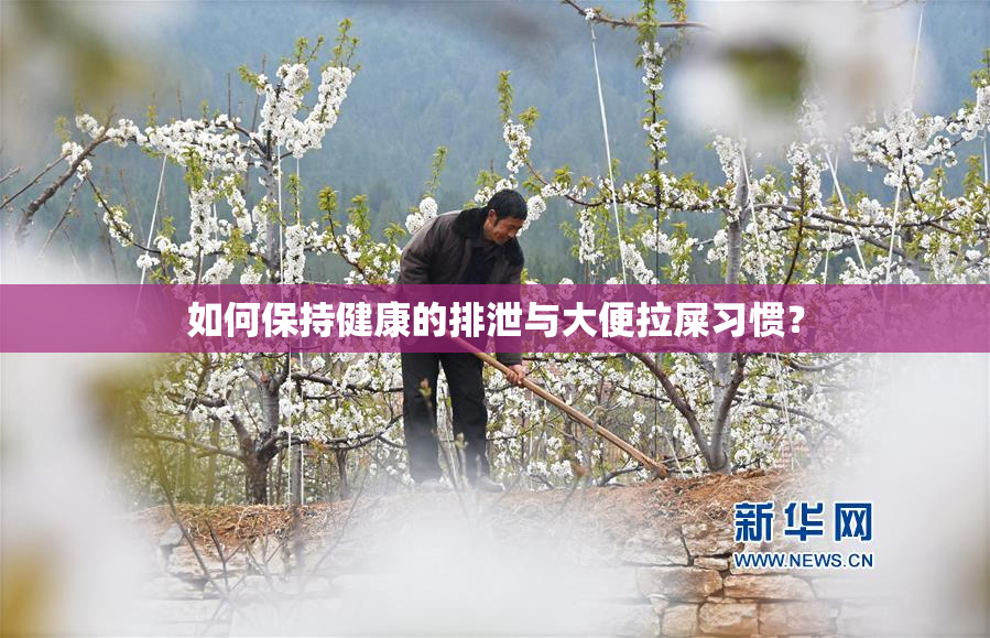 如何保持健康的排泄与大便拉屎习惯？