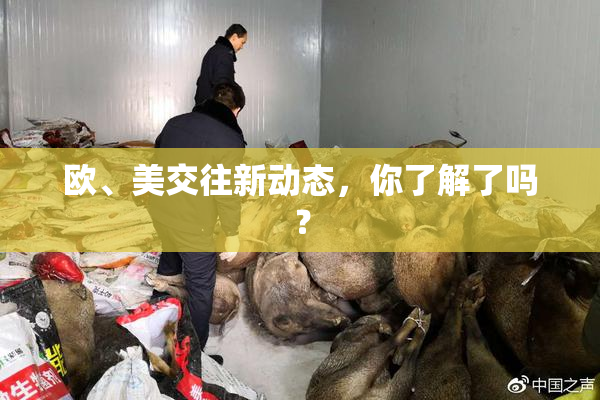 欧、美交往新动态，你了解了吗？