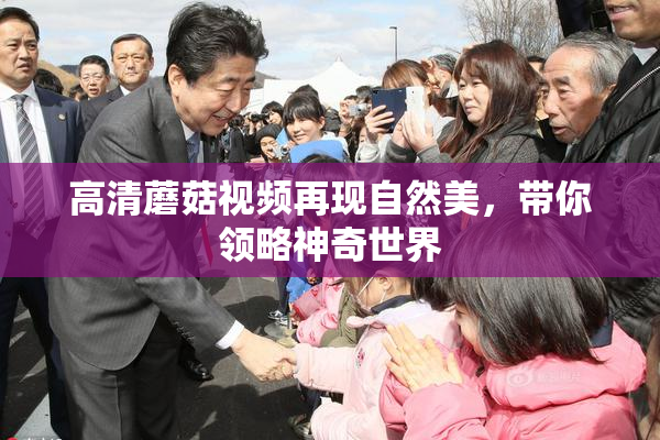 高清蘑菇视频再现自然美，带你领略神奇世界