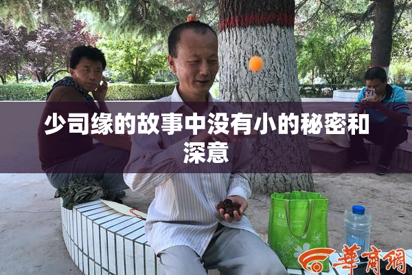 少司缘的故事中没有小的秘密和深意